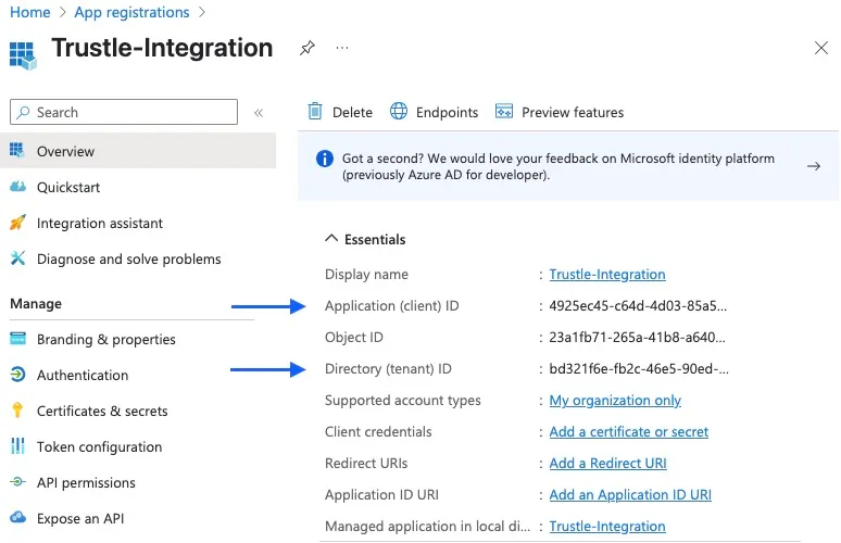 App registration overview page showing the application and tenant IDs