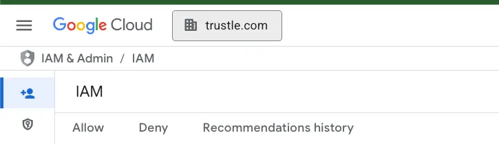 Organization selected in the Google Cloud Console project dropdown